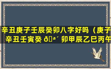 辛丑庚子壬辰癸卯八字好吗（庚子辛丑壬寅癸 🪴 卯甲辰乙巳丙午丁未）